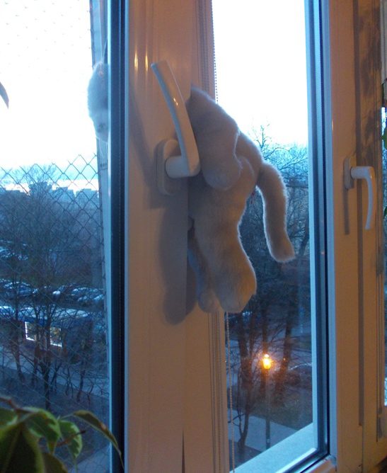 okno uchylne niebezpieczne dla kota