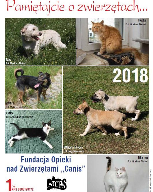 Kalendarz Fundacji Canis na 2018 rok